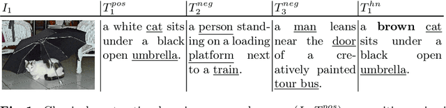 Figure 1 for Enhancing Conceptual Understanding in Multimodal Contrastive Learning through Hard Negative Samples