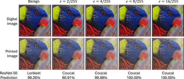 Figure 1 for Imperceptible Adversarial Examples in the Physical World