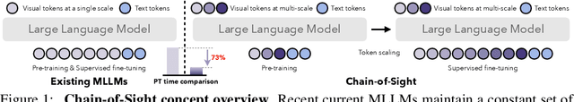 Figure 1 for Accelerating Pre-training of Multimodal LLMs via Chain-of-Sight