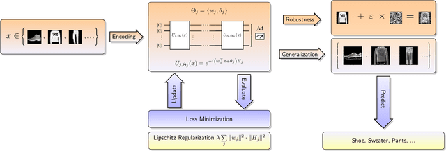 Figure 1 for Training robust and generalizable quantum models