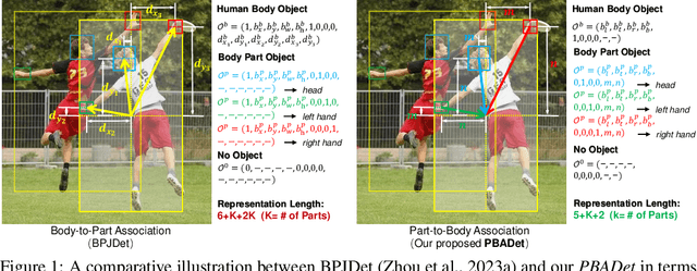 Figure 1 for PBADet: A One-Stage Anchor-Free Approach for Part-Body Association