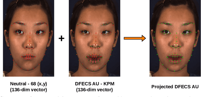 Figure 3 for Unsupervised learning of Data-driven Facial Expression Coding System (DFECS) using keypoint tracking