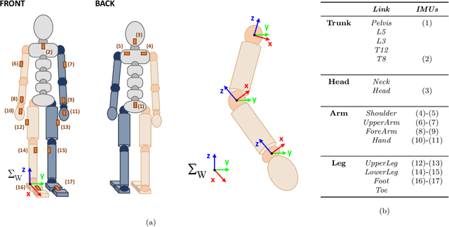 Figure 3 for The Bridge between Xsens Motion-Capture and Robot Operating System : Enabling Robots with Online 3D Human Motion Tracking