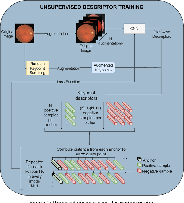 Figure 1 for Unsupervised training of keypoint-agnostic descriptors for flexible retinal image registration