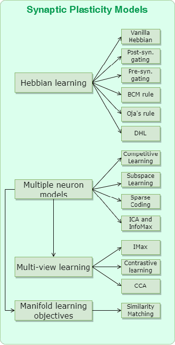 Figure 1 for Synaptic Plasticity Models and Bio-Inspired Unsupervised Deep Learning: A Survey