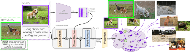 Figure 1 for Data Roaming and Early Fusion for Composed Image Retrieval