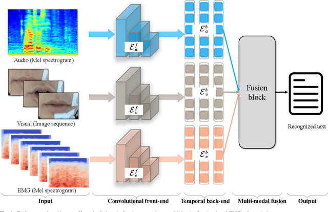 Figure 4 for AVE Speech Dataset: A Comprehensive Benchmark for Multi-Modal Speech Recognition Integrating Audio, Visual, and Electromyographic Signals