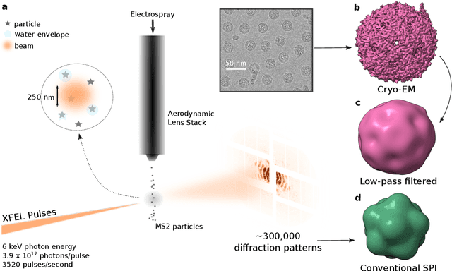 Figure 1 for Observation of Aerosolization-induced Morphological Changes in Viral Capsids