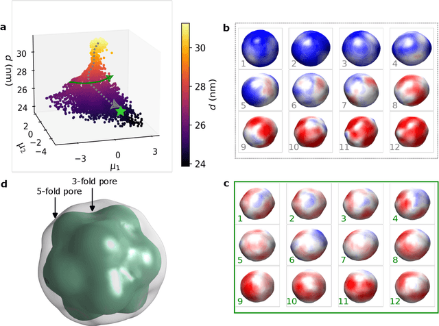 Figure 3 for Observation of Aerosolization-induced Morphological Changes in Viral Capsids