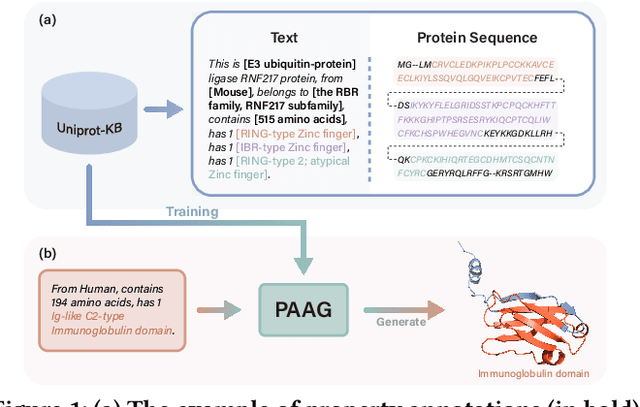 Figure 1 for Functional Protein Design with Local Domain Alignment