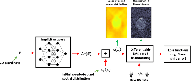 Figure 1 for Implicit Neural Representations for Speed-of-Sound Estimation in Ultrasound