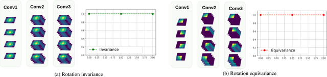 Figure 3 for What Affects Learned Equivariance in Deep Image Recognition Models?