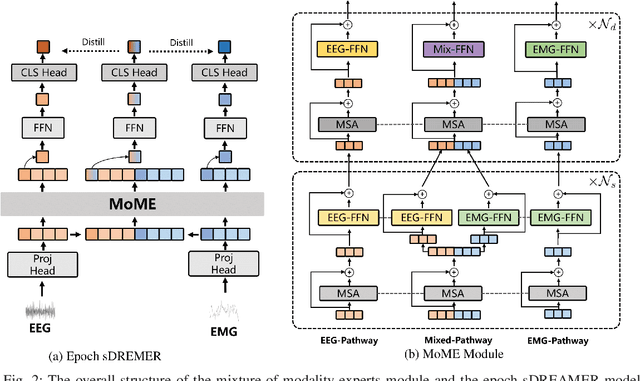 Figure 2 for sDREAMER: Self-distilled Mixture-of-Modality-Experts Transformer for Automatic Sleep Staging