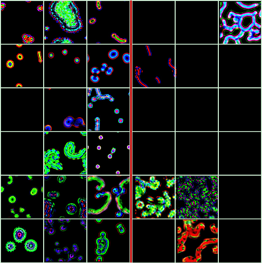 Figure 4 for Looking for Complexity at Phase Boundaries in Continuous Cellular Automata