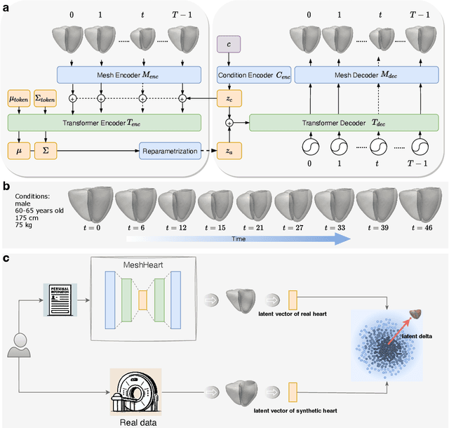 Figure 1 for A Personalised 3D+t Mesh Generative Model for Unveiling Normal Heart Dynamics