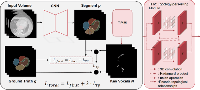 Figure 4 for Preserving Cardiac Integrity: A Topology-Infused Approach to Whole Heart Segmentation