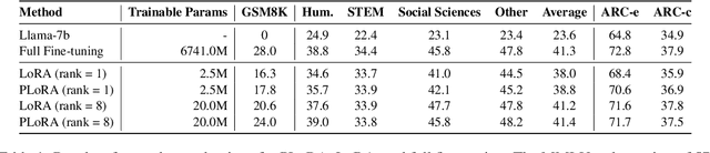 Figure 2 for PeriodicLoRA: Breaking the Low-Rank Bottleneck in LoRA Optimization