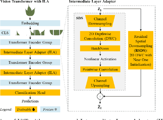 Figure 3 for Down-Sampling Inter-Layer Adapter for Parameter and Computation Efficient Ultra-Fine-Grained Image Recognition