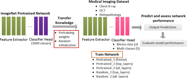 Figure 3 for Disease Classification and Impact of Pretrained Deep Convolution Neural Networks on Diverse Medical Imaging Datasets across Imaging Modalities