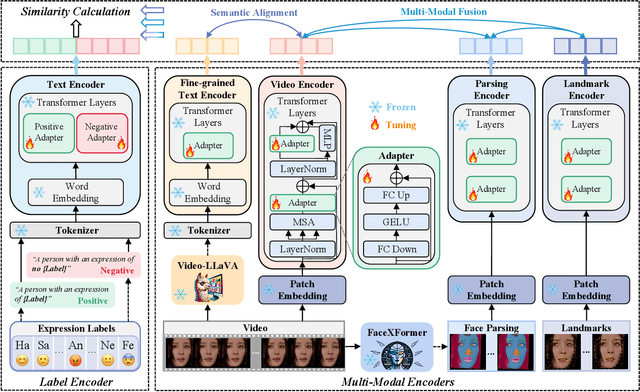 Figure 3 for FineCLIPER: Multi-modal Fine-grained CLIP for Dynamic Facial Expression Recognition with AdaptERs