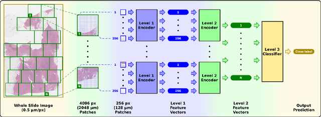 Figure 1 for Classifying Whole Slide Images: What Matters?