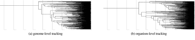 Figure 1 for Ecology, Spatial Structure, and Selection Pressure Induce Strong Signatures in Phylogenetic Structure
