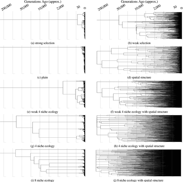 Figure 4 for Ecology, Spatial Structure, and Selection Pressure Induce Strong Signatures in Phylogenetic Structure