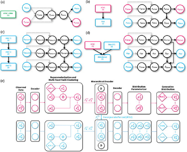 Figure 1 for CAVACHON: a hierarchical variational autoencoder to integrate multi-modal single-cell data