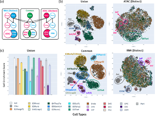 Figure 2 for CAVACHON: a hierarchical variational autoencoder to integrate multi-modal single-cell data