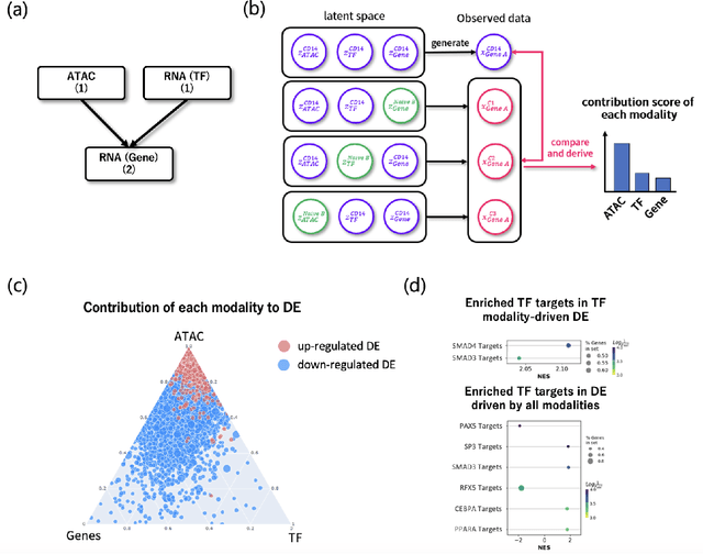 Figure 3 for CAVACHON: a hierarchical variational autoencoder to integrate multi-modal single-cell data