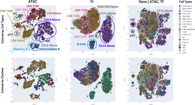 Figure 4 for CAVACHON: a hierarchical variational autoencoder to integrate multi-modal single-cell data