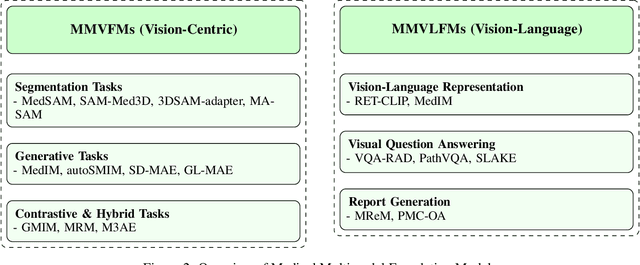 Figure 4 for Applications of Large Models in Medicine