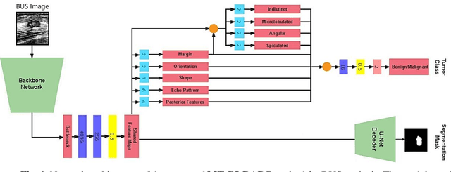 Figure 1 for Post-Hoc Explainability of BI-RADS Descriptors in a Multi-task Framework for Breast Cancer Detection and Segmentation