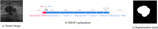 Figure 4 for Post-Hoc Explainability of BI-RADS Descriptors in a Multi-task Framework for Breast Cancer Detection and Segmentation