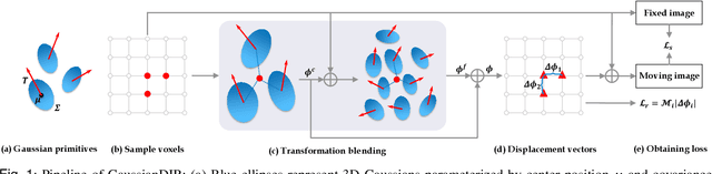 Figure 1 for Gaussian Representation for Deformable Image Registration