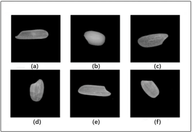 Figure 2 for An Overall Real-Time Mechanism for Classification and Quality Evaluation of Rice