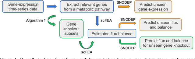 Figure 1 for Predicting time-varying flux and balance in metabolic systems using structured neural-ODE processes