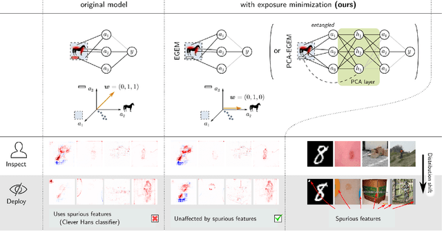 Figure 4 for Preemptively Pruning Clever-Hans Strategies in Deep Neural Networks