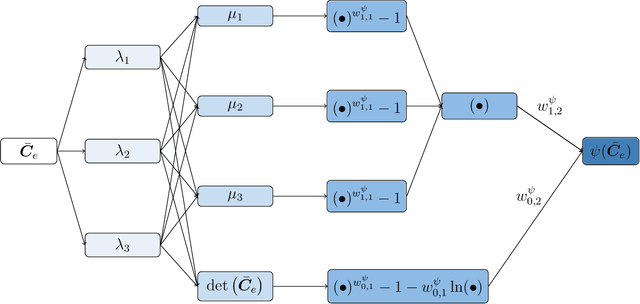 Figure 1 for Automated Model Discovery for Tensional Homeostasis: Constitutive Machine Learning in Growth and Remodeling