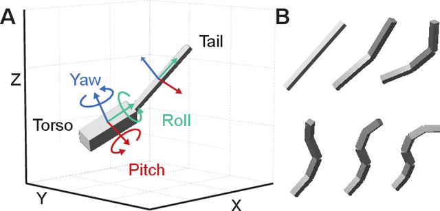 Figure 1 for Jointed Tails Enhance Control of Three-dimensional Body Rotation