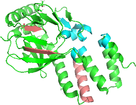 Figure 1 for SFM-Protein: Integrative Co-evolutionary Pre-training for Advanced Protein Sequence Representation