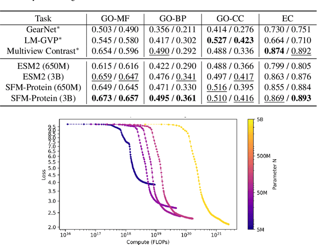 Figure 2 for SFM-Protein: Integrative Co-evolutionary Pre-training for Advanced Protein Sequence Representation