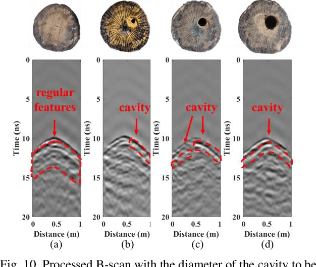 Figure 2 for A Deep Learning-Augmented Stand-off Radar Scheme for Rapidly Detecting Tree Defects