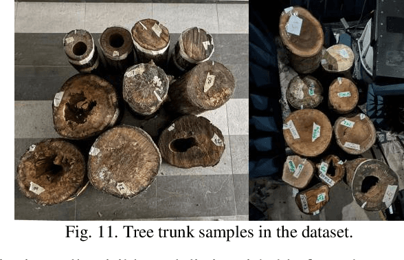 Figure 3 for A Deep Learning-Augmented Stand-off Radar Scheme for Rapidly Detecting Tree Defects