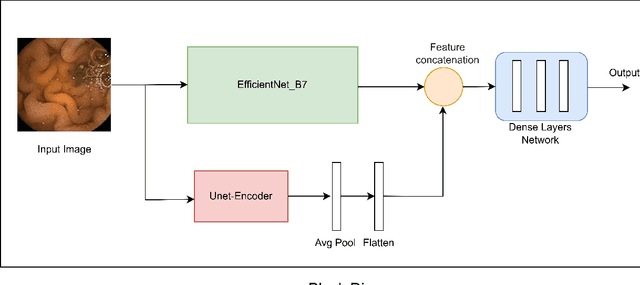 Figure 1 for Exploring Self-Supervised Learning with U-Net Masked Autoencoders and EfficientNet B7 for Improved Classification