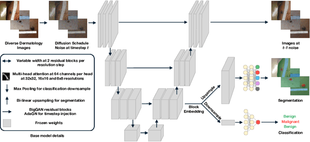 Figure 3 for FEDD -- Fair, Efficient, and Diverse Diffusion-based Lesion Segmentation and Malignancy Classification
