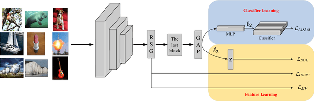 Figure 3 for Solving the long-tailed distribution problem by exploiting the synergies and balance of different techniques