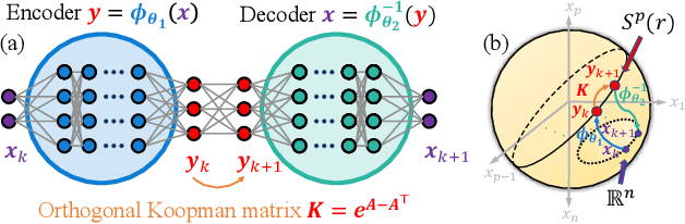 Figure 1 for Learning Hamiltonian neural Koopman operator and simultaneously sustaining and discovering conservation law