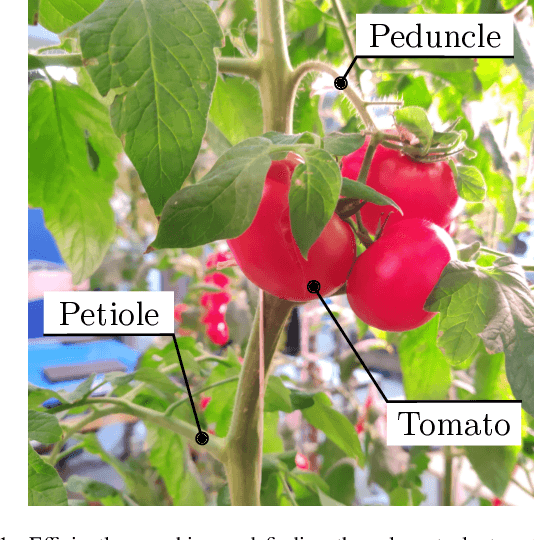 Figure 1 for Efficient Search and Detection of Relevant Plant Parts using Semantics-Aware Active Vision