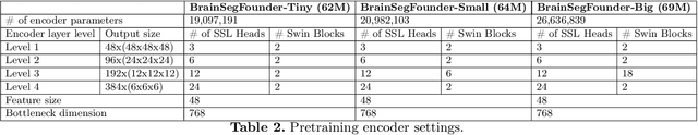 Figure 4 for BrainFounder: Towards Brain Foundation Models for Neuroimage Analysis